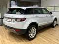 Land Rover Range Rover Evoque AWD/Pure/Pano/Leder/Navi Blanc - thumbnail 6