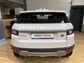 Land Rover Range Rover Evoque AWD/Pure/Pano/Leder/Navi Blanc - thumbnail 5