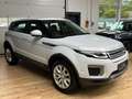 Land Rover Range Rover Evoque AWD/Pure/Pano/Leder/Navi Blanc - thumbnail 3