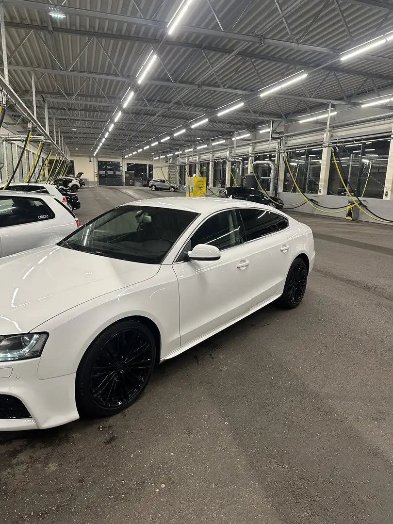 Audi A5 SB 3,0 TDI quattro DPF Weiß - 2
