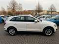 Audi Q5 2.0 TDI 125 kW quattro AUTOM°SCHECKHEFT°PDC! Weiß - thumbnail 4