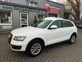 Audi Q5 2.0 TDI 125 kW quattro AUTOM°SCHECKHEFT°PDC! Weiß - thumbnail 1
