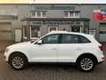 Audi Q5 2.0 TDI 125 kW quattro AUTOM°SCHECKHEFT°PDC! Weiß - thumbnail 8