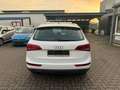 Audi Q5 2.0 TDI 125 kW quattro AUTOM°SCHECKHEFT°PDC! Weiß - thumbnail 6