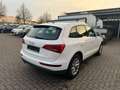 Audi Q5 2.0 TDI 125 kW quattro AUTOM°SCHECKHEFT°PDC! Weiß - thumbnail 5
