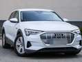 Audi e-tron e-tron 50 quattro Weiß - thumbnail 1