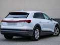 Audi e-tron e-tron 50 quattro Weiß - thumbnail 6