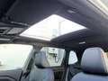 Subaru Forester 2.0iCVT e-Boxer Premium Leder Pano Silber - thumbnail 12