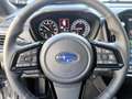 Subaru Forester 2.0iCVT e-Boxer Premium Leder Pano Silber - thumbnail 9
