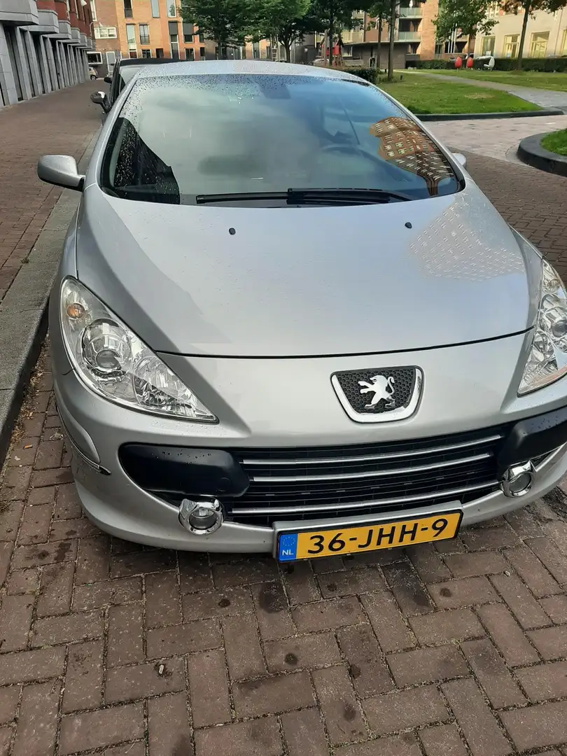 Peugeot 307 307 2.0-16V Palm Beach Stříbrná - 1