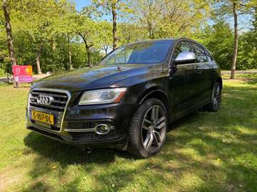SQ5 3.0TFSI q. Pro L