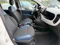 Fiat Panda Panda 0.9 TwinAir Turbo S&S 4x4 City Cross my21 FU Weiß - thumbnail 15