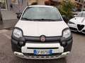 Fiat Panda Panda 0.9 TwinAir Turbo S&S 4x4 City Cross my21 FU Weiß - thumbnail 2