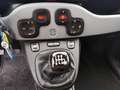 Fiat Panda Panda 0.9 TwinAir Turbo S&S 4x4 City Cross my21 FU Weiß - thumbnail 9