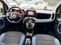 Fiat Panda Panda 0.9 TwinAir Turbo S&S 4x4 City Cross my21 FU Weiß - thumbnail 16