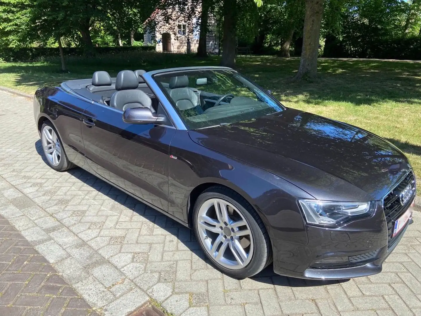 Audi A5 A5 Cabrio 2.0 TDI DPF multitronic Gris - 2