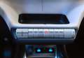 BYD Dolphin Design - thumbnail 21