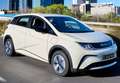 BYD Dolphin Design - thumbnail 2