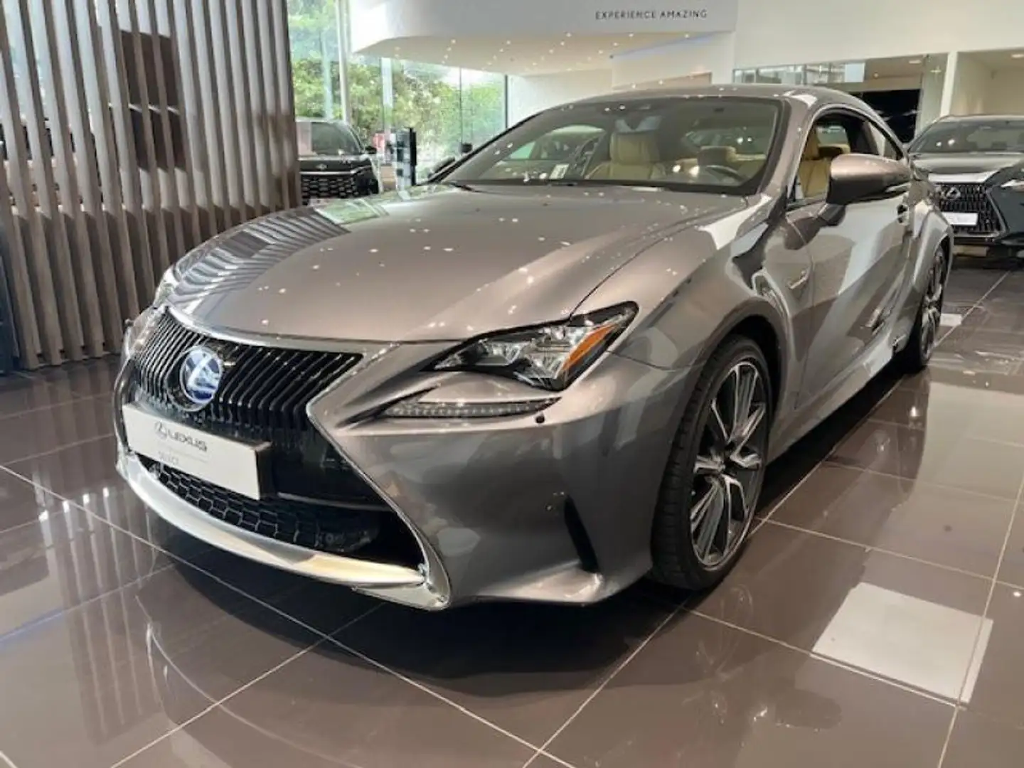 Lexus RC 300h Privilege Line Gri - 1