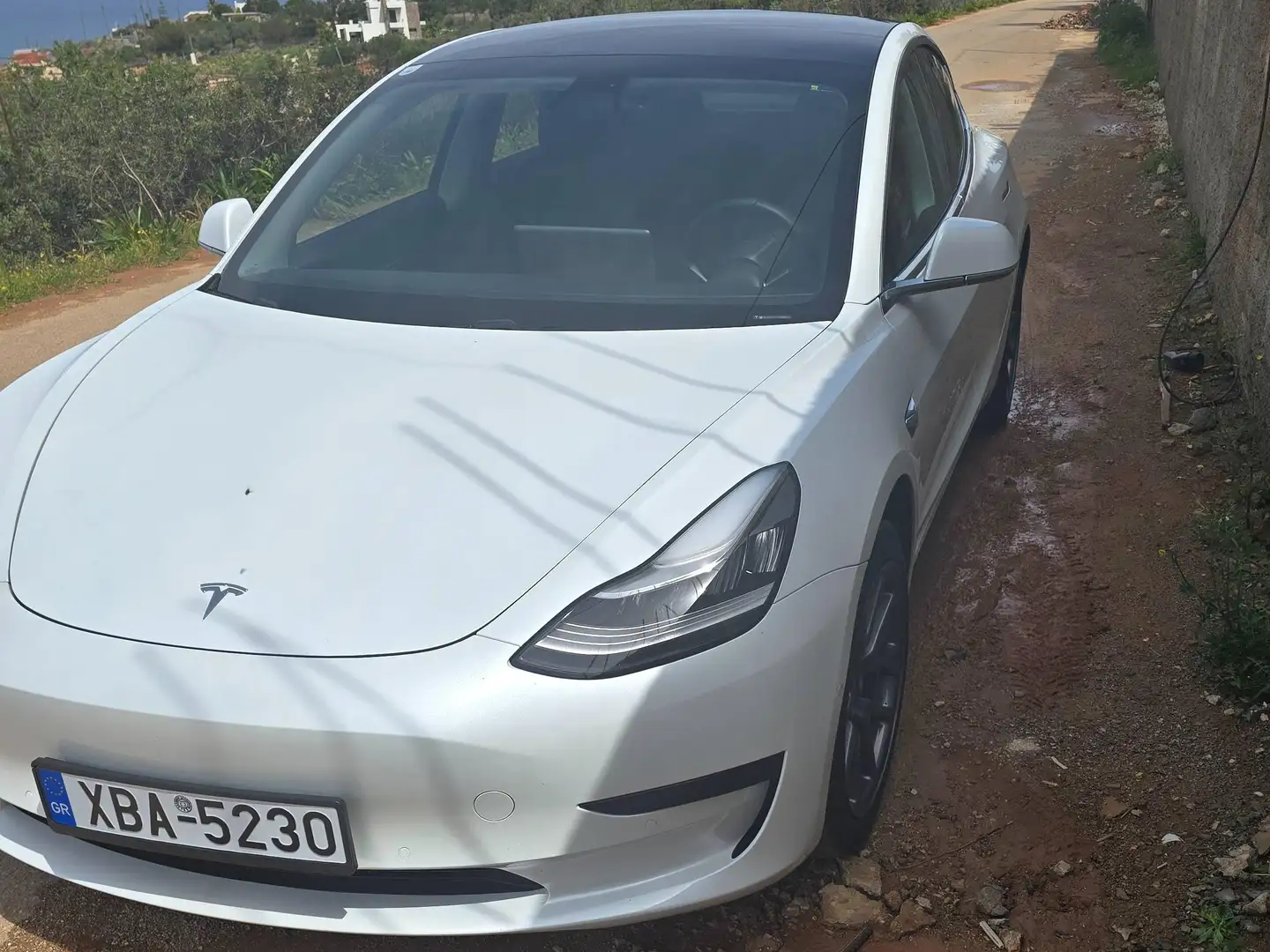 Tesla Model 3 Model 3 Standard Range RWD Plus 57,5kWh RWD Plus Weiß - 1