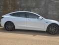 Tesla Model 3 Model 3 Standard Range RWD Plus 57,5kWh RWD Plus Weiß - thumbnail 8