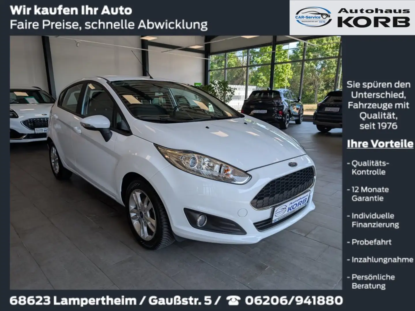 Ford Fiesta 1.0 EcoBoost Celebration, Zahnriemen NEU, Garantie Blanc - 1