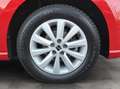 SEAT Ibiza Style 1.0 TSI Klimaauto SHZ PDC Kamera Rosso - thumbnail 8