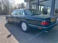 Daimler Double Six 6.0 V12 Grün - thumbnail 3