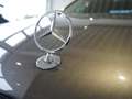 Mercedes-Benz E 250 Elegance BlueEfficiency CDI Aut. --Anhängekuppl... Grau - thumbnail 10