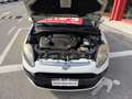 Fiat Punto Evo 5p 1.3 mjt Dynamic s, NEOPATENTATI OK! Weiß - thumbnail 19