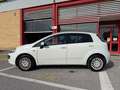 Fiat Punto Evo 5p 1.3 mjt Dynamic s, NEOPATENTATI OK! Bianco - thumbnail 3