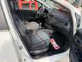 Fiat Punto Evo 5p 1.3 mjt Dynamic s, NEOPATENTATI OK! Bianco - thumbnail 8