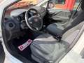 Fiat Punto Evo 5p 1.3 mjt Dynamic s, NEOPATENTATI OK! Bianco - thumbnail 2