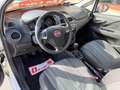 Fiat Punto Evo 5p 1.3 mjt Dynamic s, NEOPATENTATI OK! Bianco - thumbnail 13