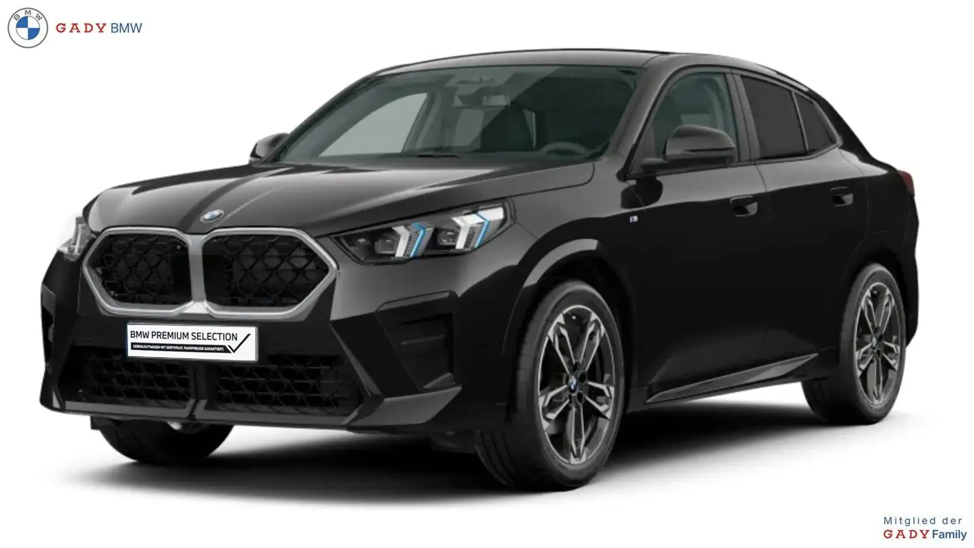 BMW X2 sDrive20i U10 B38 Nero - 1