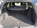 Ford Focus 1.0 EcoBoost ST-Line, Winter-Paket, LED, RFK Silber - thumbnail 16