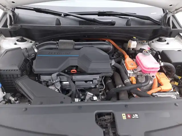 Kia Sportage view 13