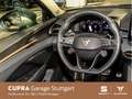 CUPRA Terramar VZ 2.0 TSI DSG 195 kW *360 Kamera* *SHZ Grau - thumbnail 10