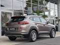 Hyundai TUCSON Bruin - thumbnail 7