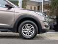 Hyundai TUCSON Bruin - thumbnail 11