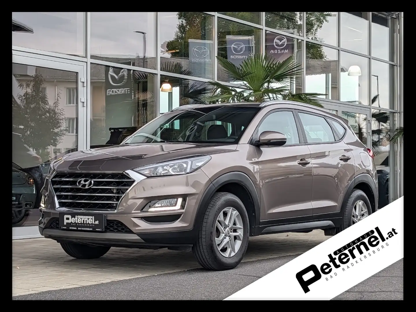Hyundai TUCSON Bruin - 1