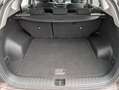 Hyundai TUCSON Bruin - thumbnail 21