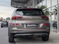 Hyundai TUCSON Bruin - thumbnail 5