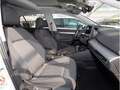 Volkswagen Golf VIII 1.5 TSI 85 kW Life EU6e White - thumbnail 6