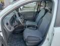 Fiat Panda 4X4 1.3mjet 80cv VAN 2 POSTI Bianco - thumbnail 9