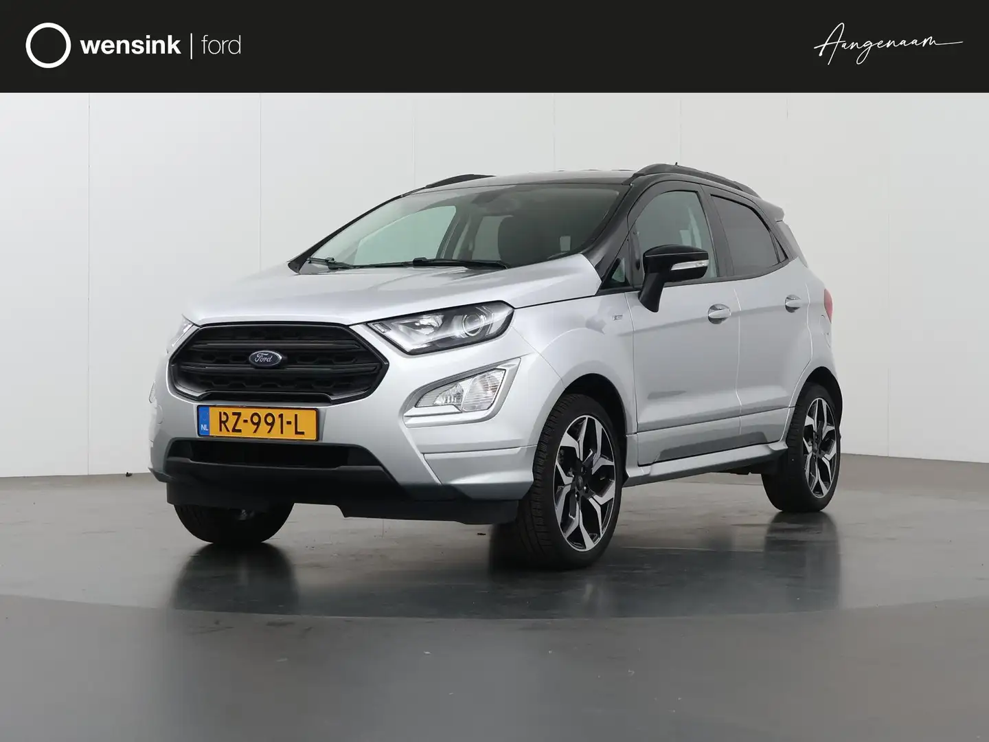 Ford EcoSport 1.0 EcoBoost ST-Line | Trekhaak | Navigatie | Wint Grijs - 1