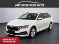 Skoda Octavia Combi 2,0 TDI Style DSG...NAVI/Head-Up/LED Weiß - thumbnail 1