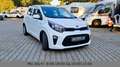 Kia Picanto Edition 7 Sitz/Lenkradheizung Weiß - thumbnail 8