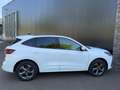 Ford Kuga 2.5 PHEV 243pk ST-Line X Navi, AGR, Keyless, B&O, Blanc - thumbnail 3