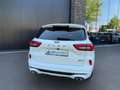 Ford Kuga 2.5 PHEV 243pk ST-Line X Navi, AGR, Keyless, B&O, Blanc - thumbnail 9